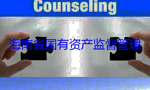 委副书记王有福接受审资产监督管理委员会党查调查海南省国有